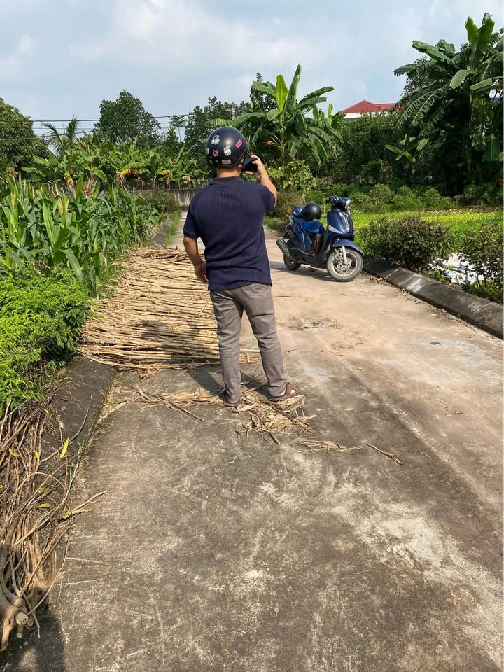 Lô đất chính chủ tại phường Hòa Mạc, Duy Tiên 65m² giá 800 triệu - Cơ hội đầu tư hấp dẫn!