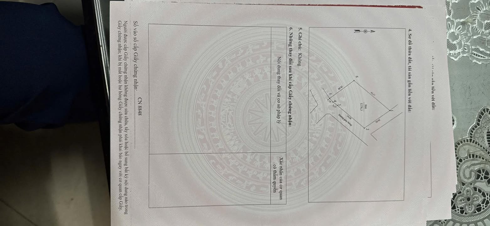 Đất khu 7 Thanh Đình, Việt Trì 300m² giá 1.6 tỷ - Mặt tiền đẹp, vị trí vàng!