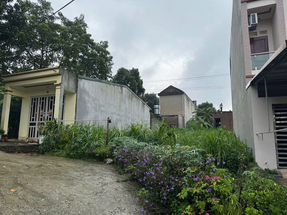 Đất nền Khu Sa Bàn, Vân Phú 88m² giá 1,9 tỷ - Vị trí đắc địa, xây dựng thuận lợi!