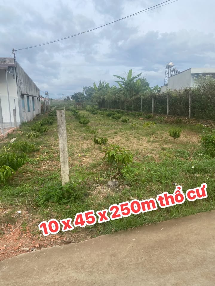 Đất thổ cư Đinh Văn, Lâm Hà 450m² giá 4.5 tỷ - Đầu tư sinh lời ngay!