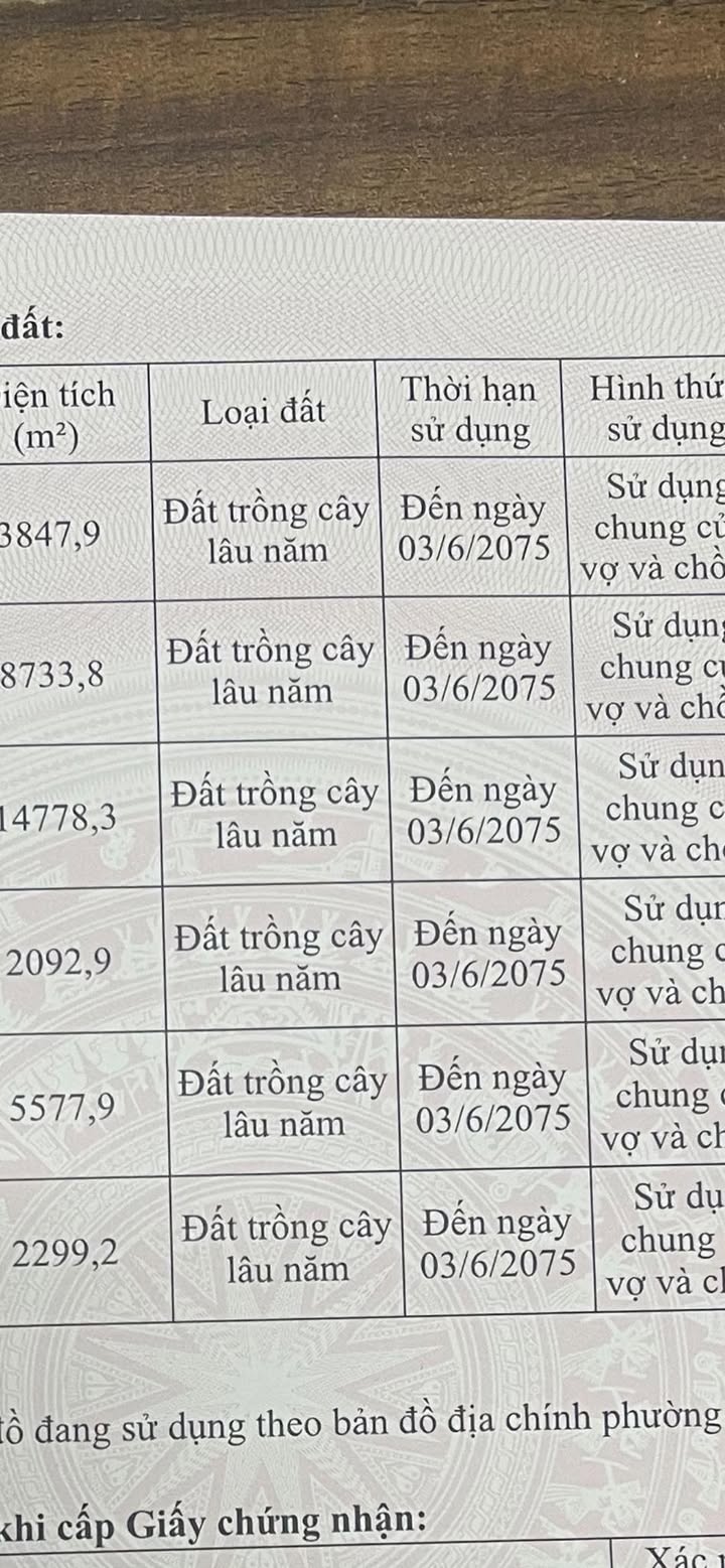 Đất CLN 3,73ha tại phường Sông Trí, Kỳ Anh - Giá thỏa thuận, vị trí đắc địa!