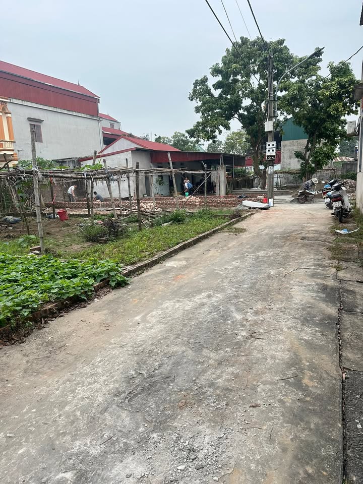 Đất thổ cư 72m² tại trung tâm Phường Hồ, Thuận Thành - Giá thỏa thuận hấp dẫn!