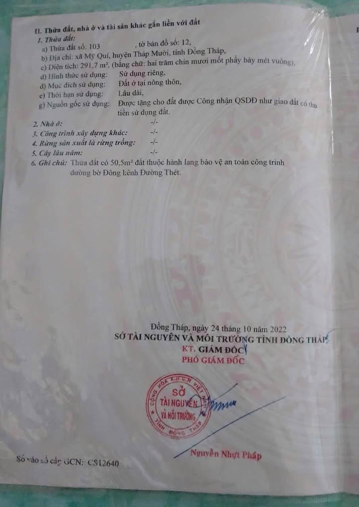 Đất nền xã Mỹ Quý, huyện Tháp Mười, 291m² giá chỉ 500 triệu - Đầu tư sinh lời ngay!