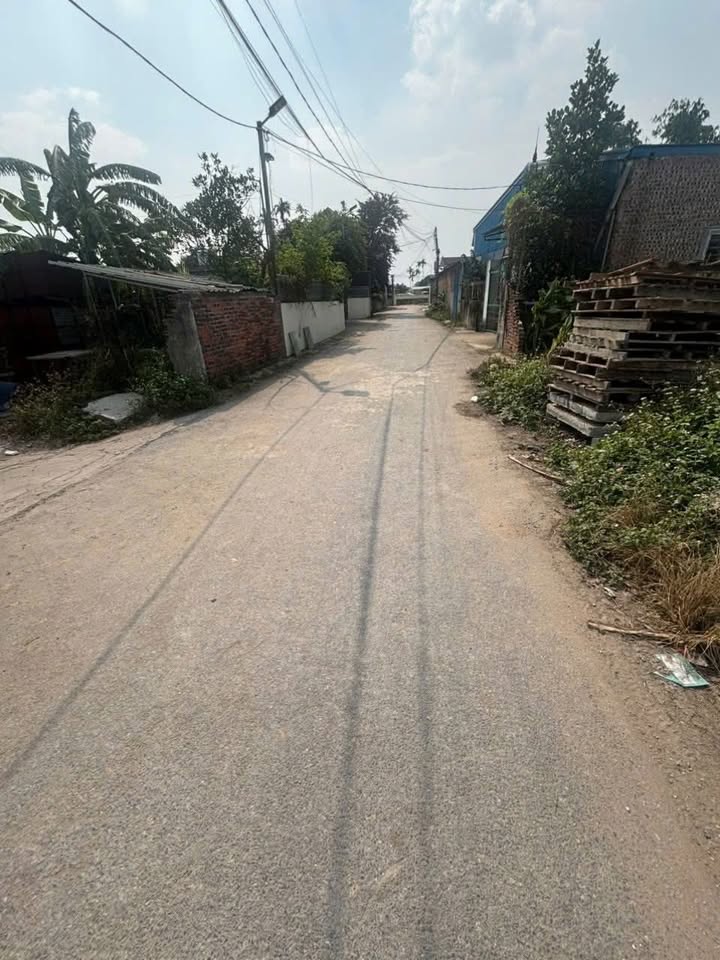 Đất nền Quang Hưng, An Lão 74m² - Đầu tư sinh lời hấp dẫn!