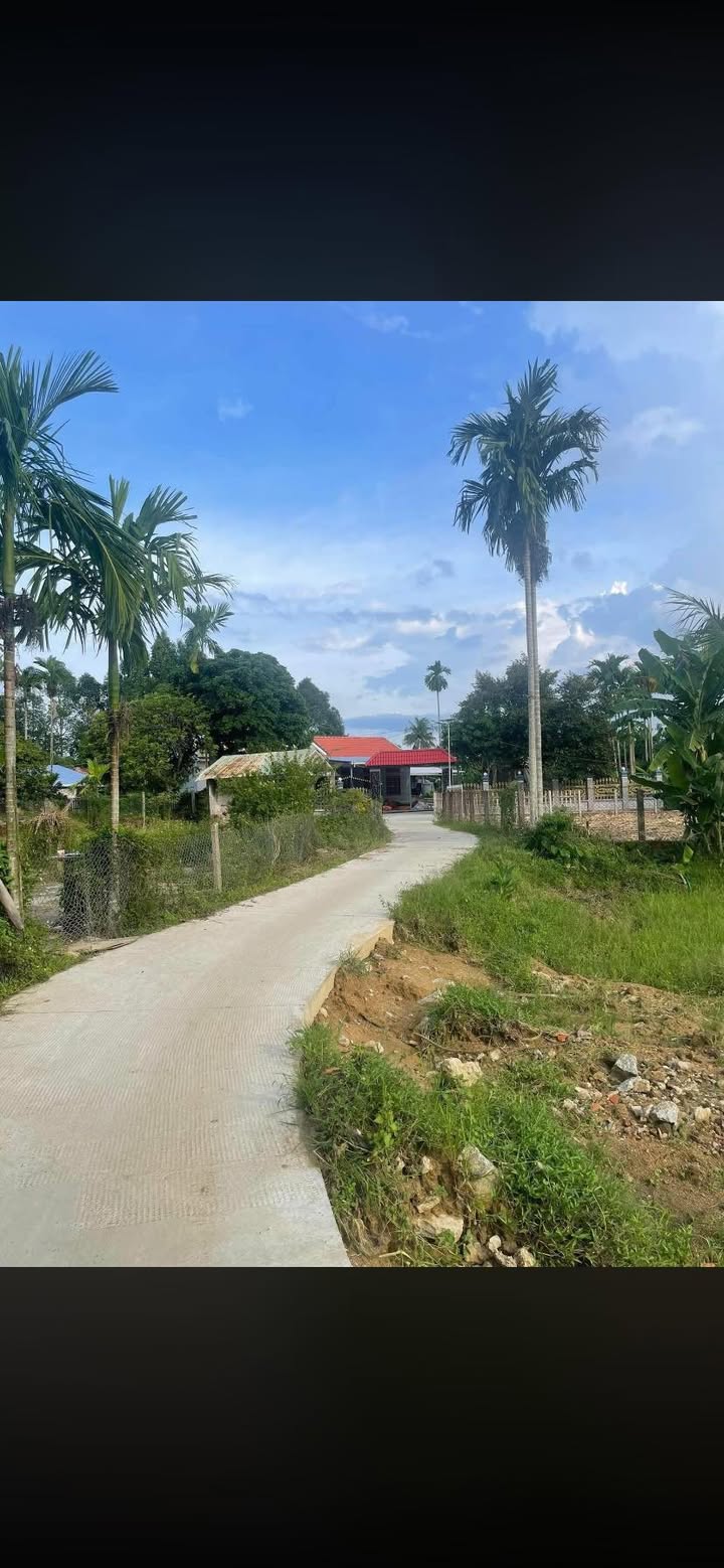 Đất nền 1000m² tại xã Việt An, Hòa Vang, Đà Nẵng - Giá chỉ 720 triệu!