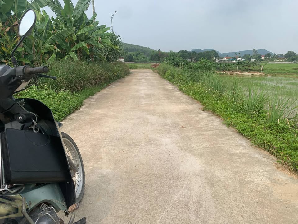 Đất nền xã Tân Thành 420m² giá 700 triệu - Đầu tư sinh lời hiệu quả!