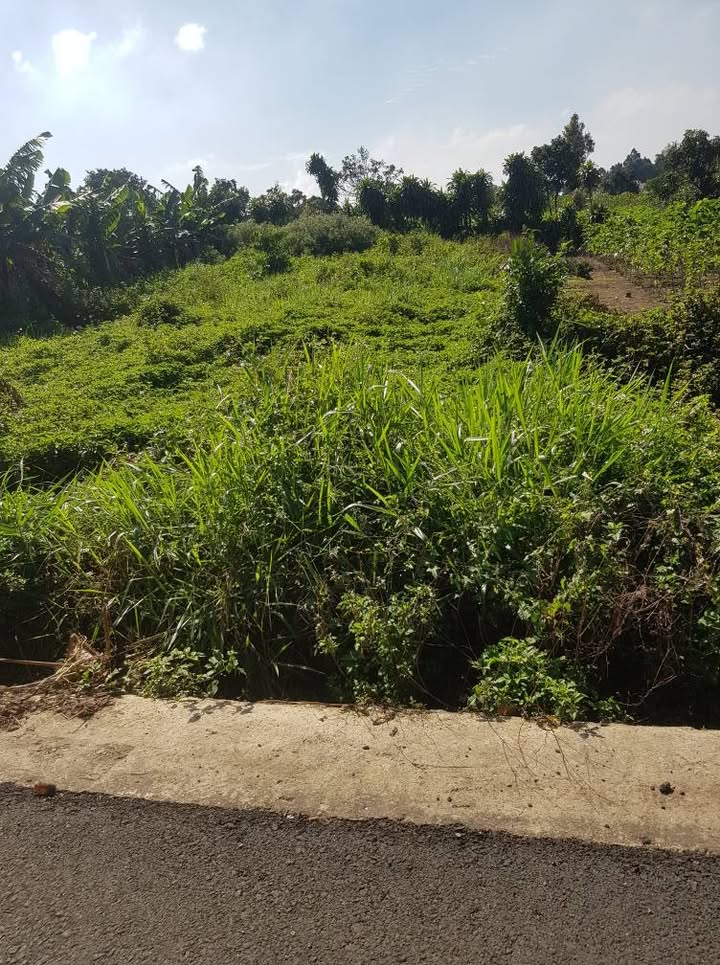 Đất nền Bảo Lộc 525m² giá 2 tỷ - Cơ hội đầu tư hấp dẫn!