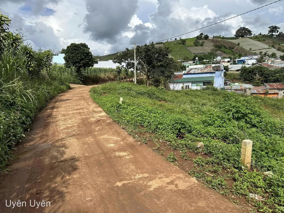 Lô đất 1200m² xã Quảng Lập giá 800 triệu - Sổ đỏ chính chủ, view sông thoáng mát!