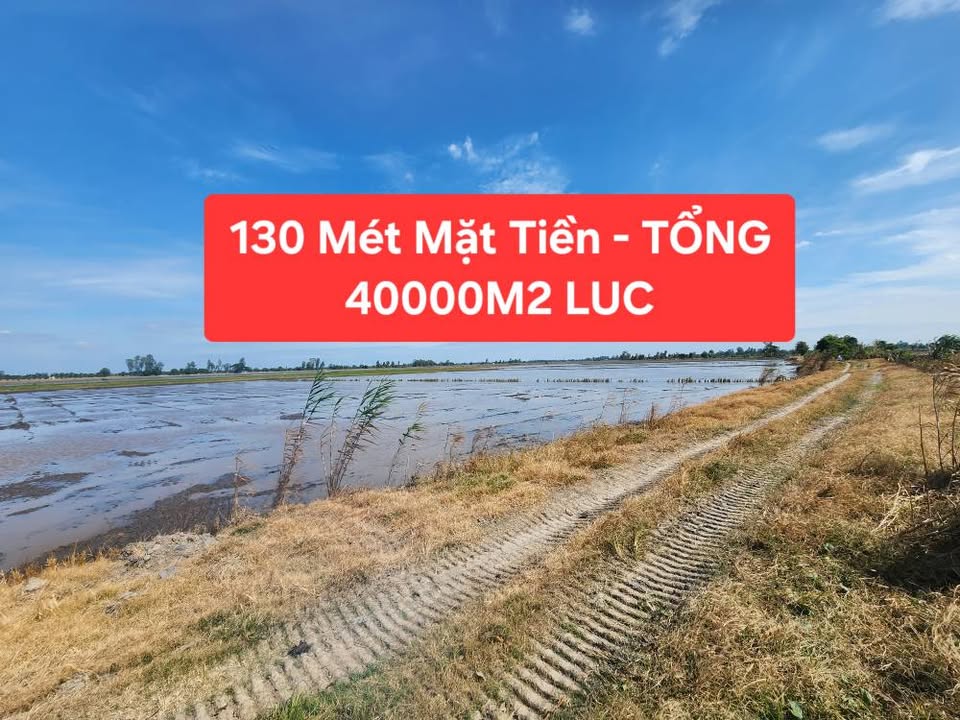 Đất nông nghiệp Vĩnh Thành, Châu Thành, An Giang 40.000m² - Giá chỉ 6.46 tỷ, sổ đỏ chính chủ!