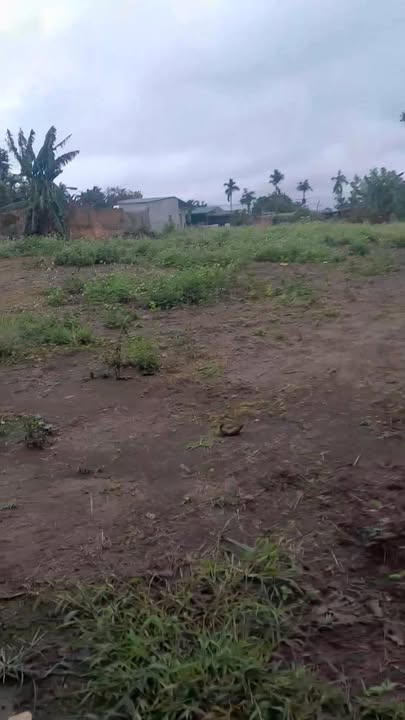 Đất nền Phước Trạch 2, Ea Phê, 912m² giá 854 triệu - Chính chủ, không qua trung gian!