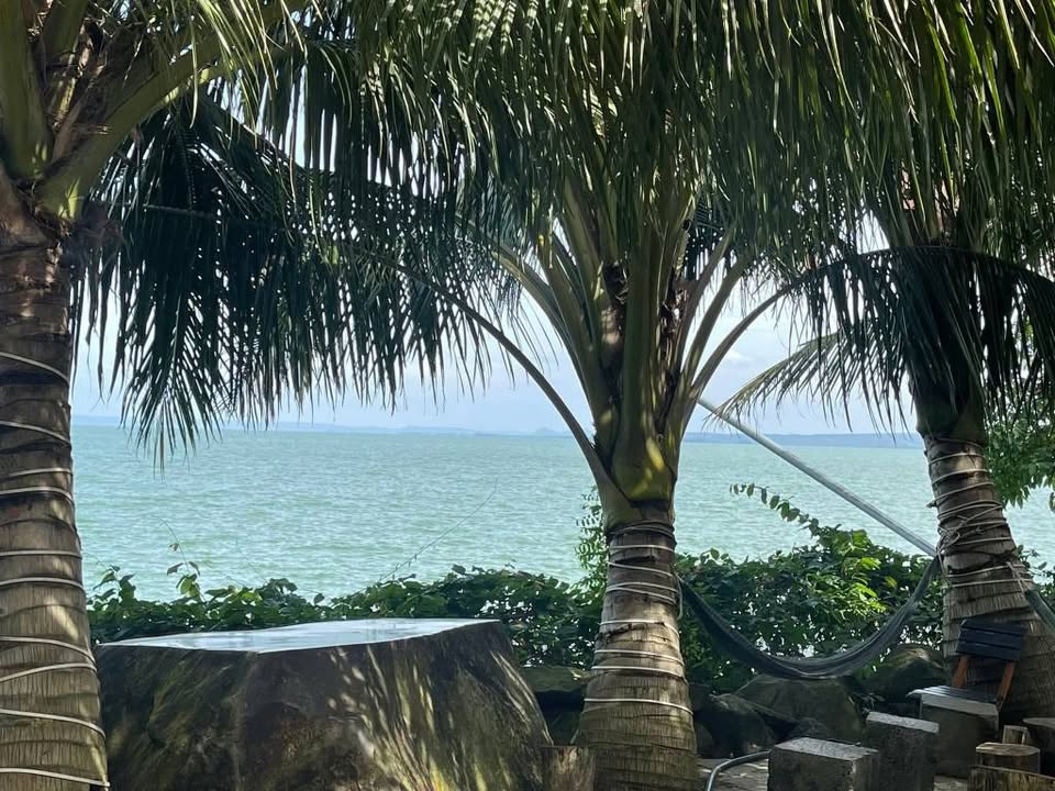 Đất nền view hồ Núi Cùi Đức Huy 6000m² - Tiềm năng đầu tư lớn!