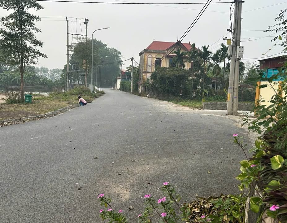 Đất lô góc 127m² tại Tri Trung, Phú Xuyên giá chỉ 3 triệu - Cơ hội đầu tư hấp dẫn!