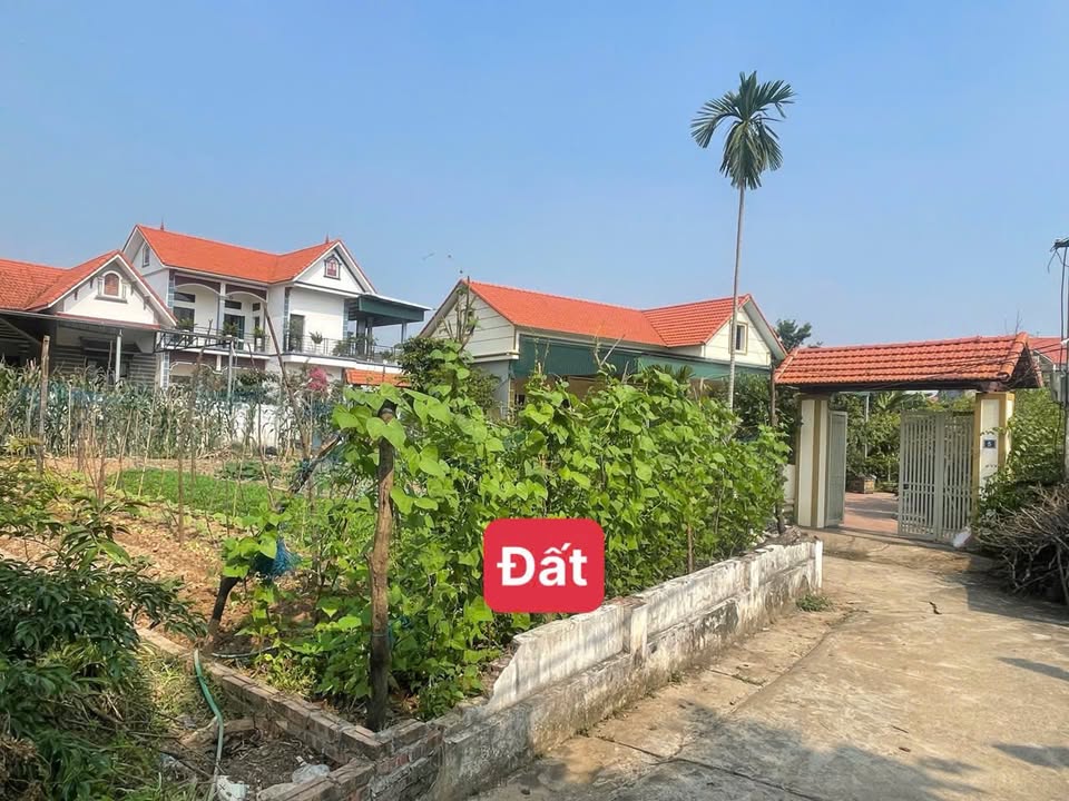 Đất làng nghề Tích Giang, Phúc Thọ 86m² giá 2 tỷ - Đầu tư tiềm năng!