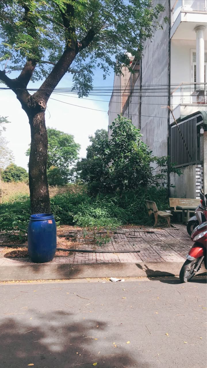 Đất nền đường Nguyễn Trãi, Trảng Bom 100m² chỉ 2.1 tỷ - Cơ hội đầu tư tuyệt vời!