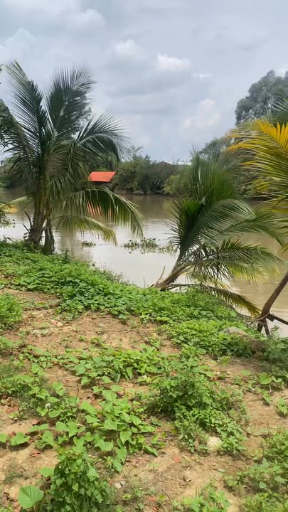 Đất nền Tân Hạnh Biên Hòa 9576m² giá 57.456 tỷ - Tiềm năng phát triển lớn!