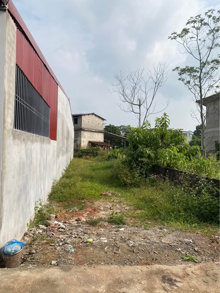 Đất nền tổ 9, phường Nông Tiến, 118m² - Vị trí gần trường học và chợ