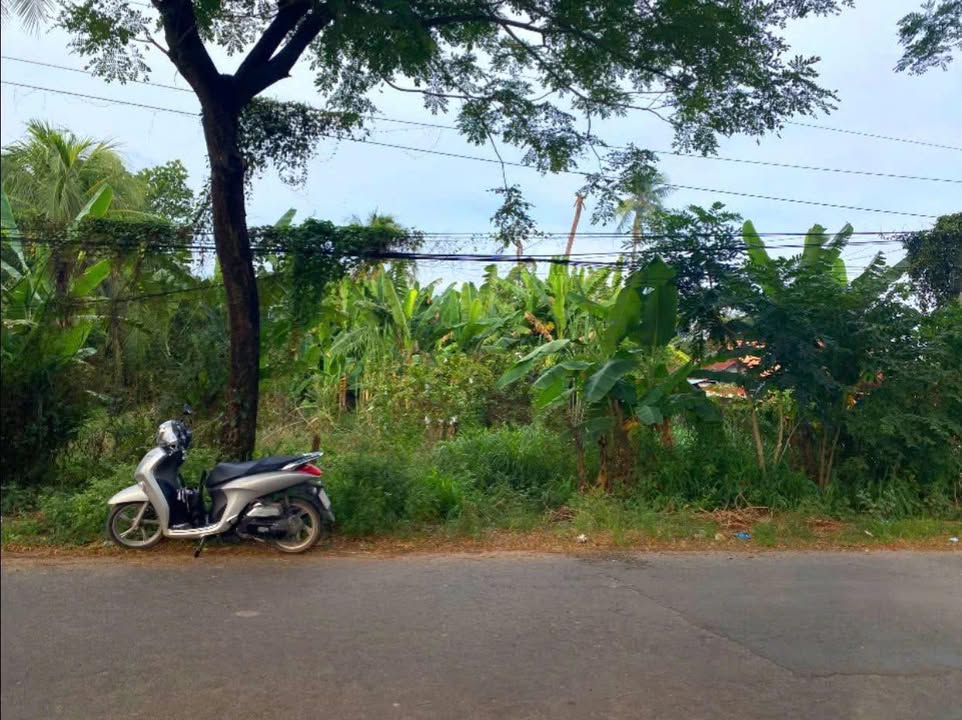 Đất thổ cư 66m² tại Gò Dầu, Tây Ninh - Chỉ 1.25 tỷ, đầu tư sinh lời!