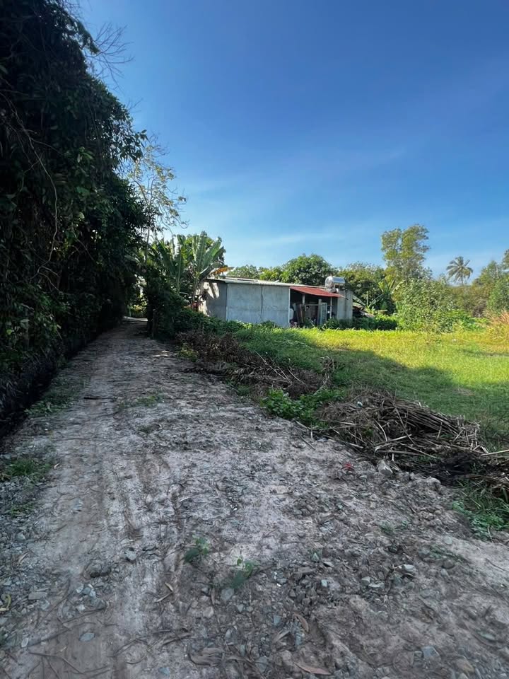 Đất thổ cư Kp Hòa Hội, Trảng Bàng 285m² giá 800 triệu - Cơ hội đầu tư hấp dẫn!