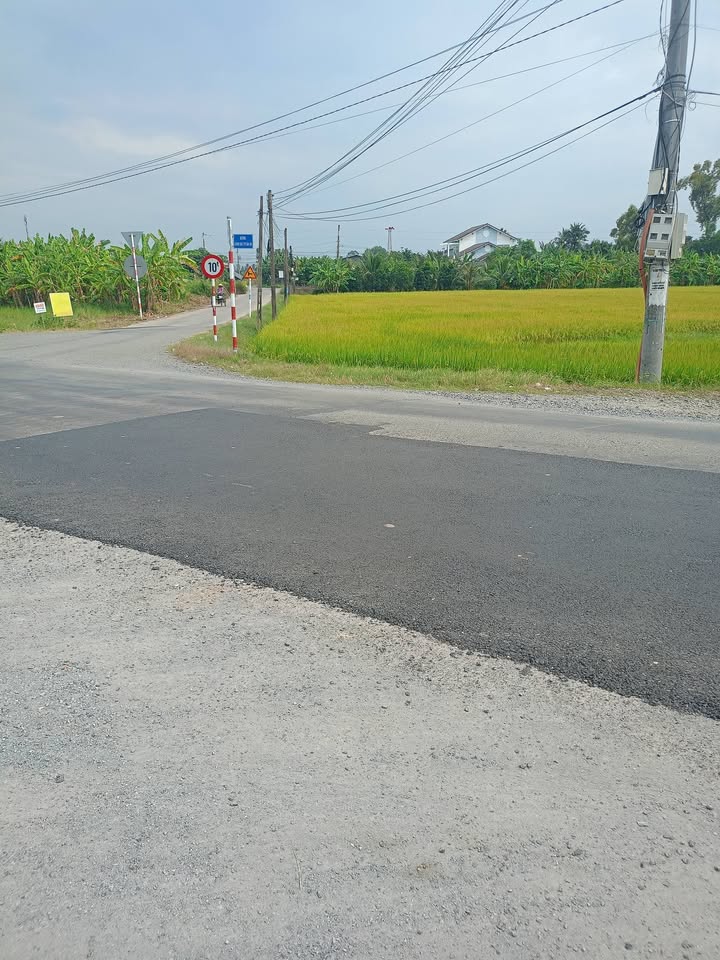 Đất lúa 7,3 công tại Tân An - Vị trí đắc địa, giá chỉ 20 tỷ!