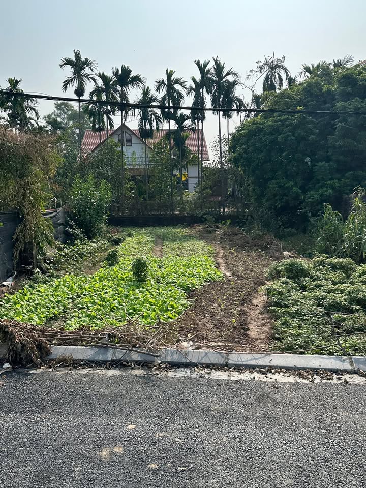 Đất nền Kim Chung Đông Anh 60m² giá 3 tỷ - Cơ hội đầu tư tốt!