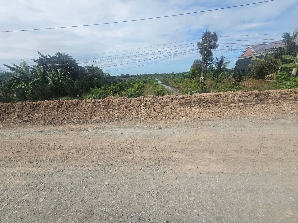 Đất vườn 1 mẫu tại Tân Phước 2, Đồng Tháp - Giá 2 tỷ, cơ hội đầu tư hấp dẫn!