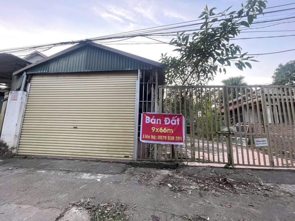 Đất chính chủ Tề Lễ, Tam Nông 603m² giá chỉ 1.4 tỷ - Đầu tư sinh lời ngay!