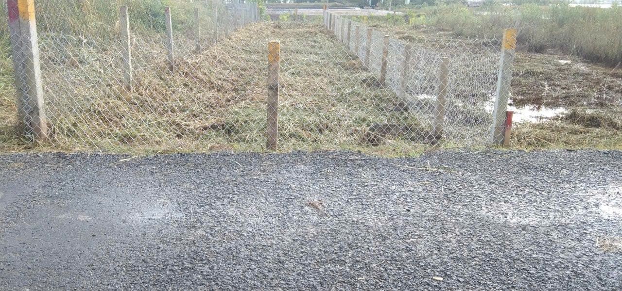 Bán đất mặt tiền đường Trần Quang Quờn, xã Bình Khánh, huyện Cần Giờ 164.1m² - Sổ hồng chính chủ, giá tốt!