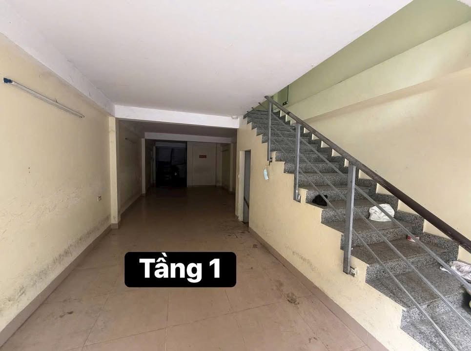 Nhà mặt phố Dịch Vọng Hậu, Cầu Giấy 70m² giá 50 triệu - Thang máy hiện đại!