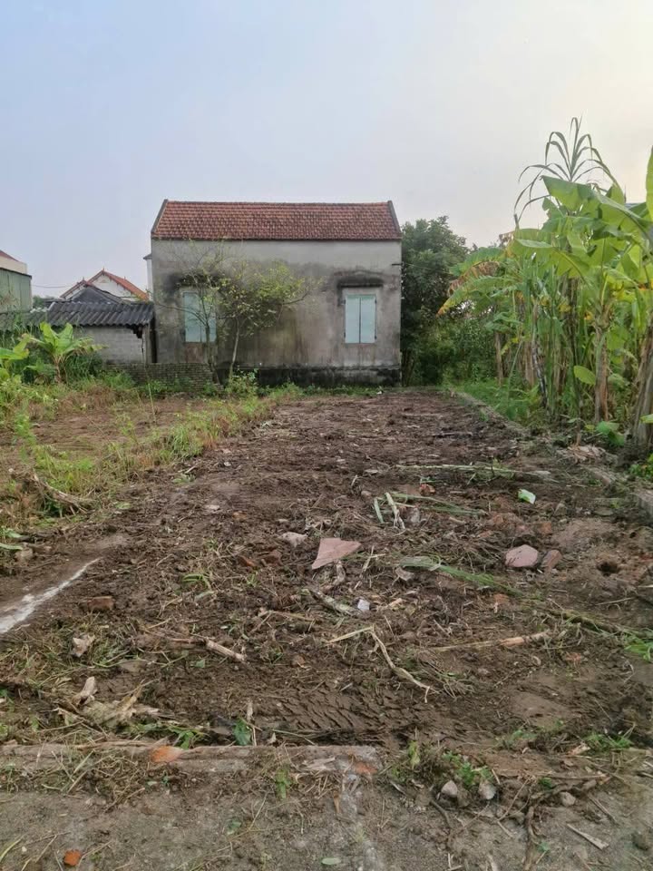 Đất nền Hưng Long, Mỹ Hào 70m² giá 1.5 tỷ - Vị trí đắc địa, đầu tư sinh lời!