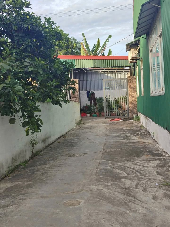 Đất Hưng Lộc 95.1m² giá 1.9 tỷ - Đầu tư sinh lời cực tốt!