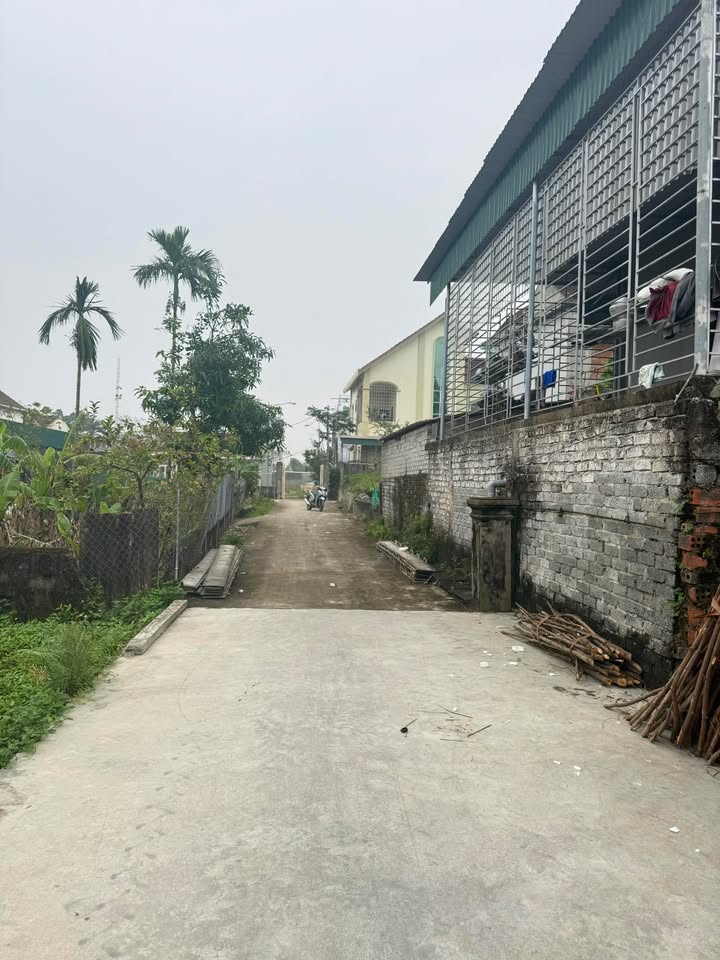 Đất nền Yên Thành 184m² giá chỉ 1 tỷ - Đầu tư sinh lời dài hạn!