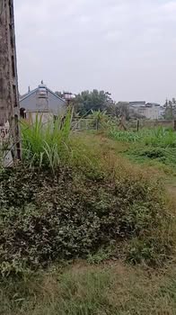 Đất nền Khu 2 Thanh Hà 150m² giá chỉ 800 triệu - Cơ hội đầu tư tuyệt vời!