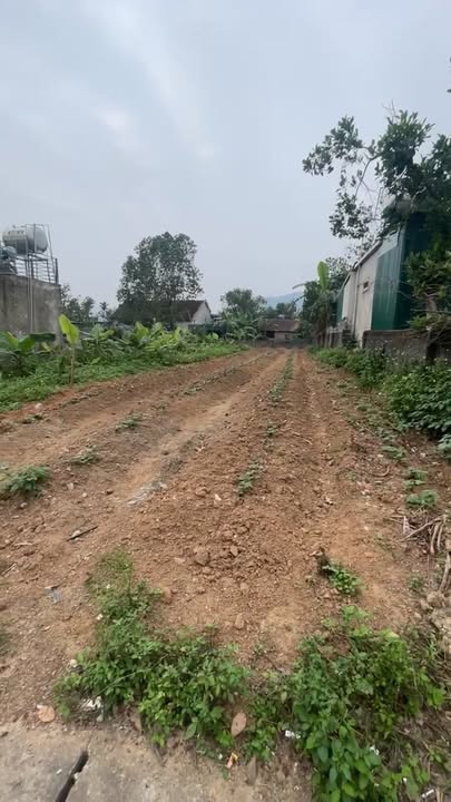 Lô đất Nam Đàn 440m² giá tốt - Cơ hội đầu tư tuyệt vời!