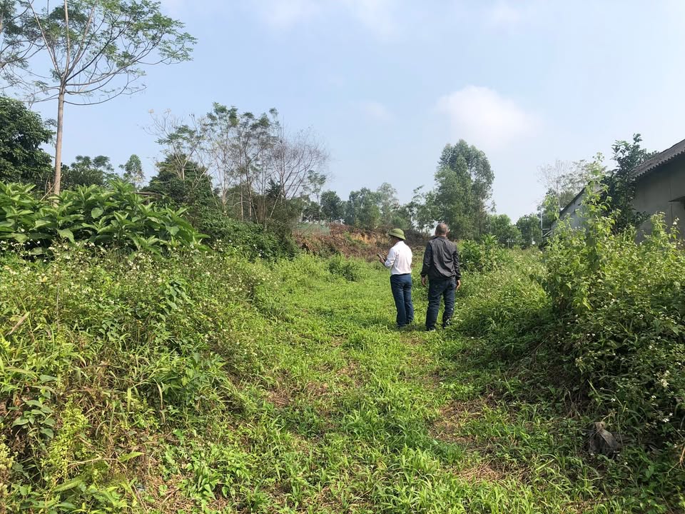 Đất nền Cẩm Lĩnh Ba Vì 13.700m² giá 23 tỷ - Phân lô, nghỉ dưỡng lý tưởng!