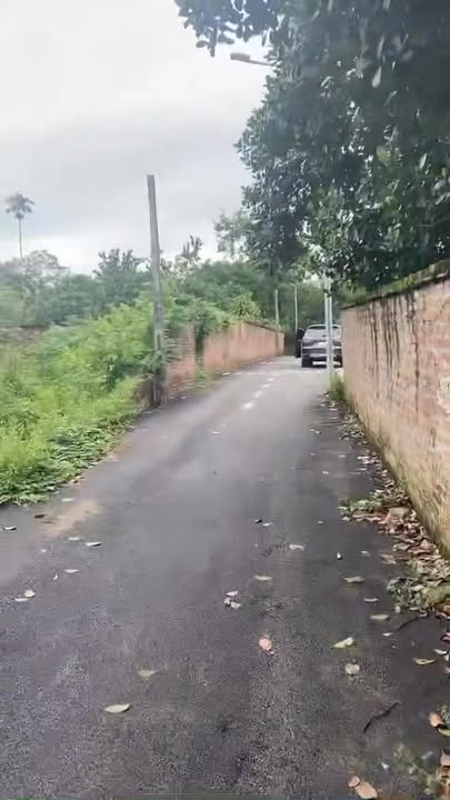 Đất nền Trại Hồ Cổ Đông 1519m² giá chỉ 1x triệu/m² - Đầu tư sinh lời ngay!