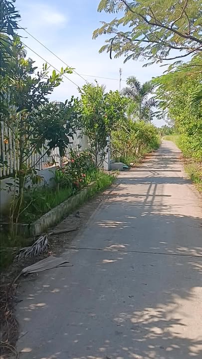 Đất CLN đường Giồng Me Bạc Liêu 500m² giá 47 triệu - Cơ hội đầu tư tuyệt vời!