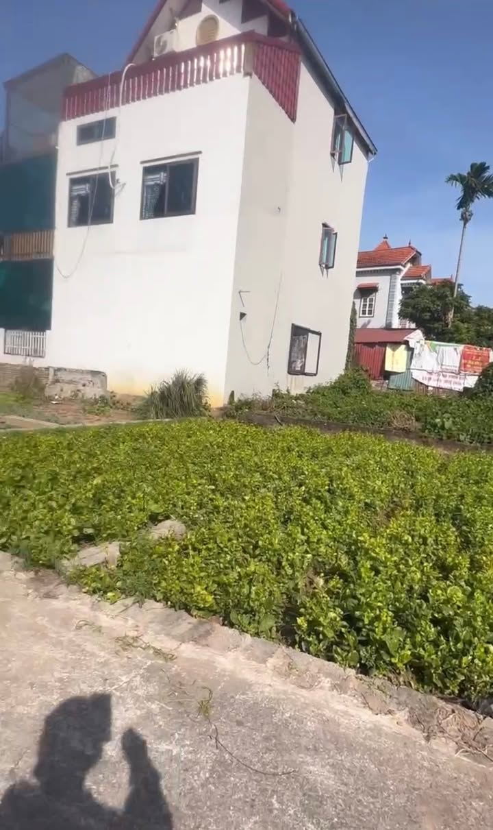 Bán gấp bất động sản tại Thư Phú, Thường Tín - 41m² chỉ 2.78 tỷ - Cơ hội đầu tư tuyệt vời!