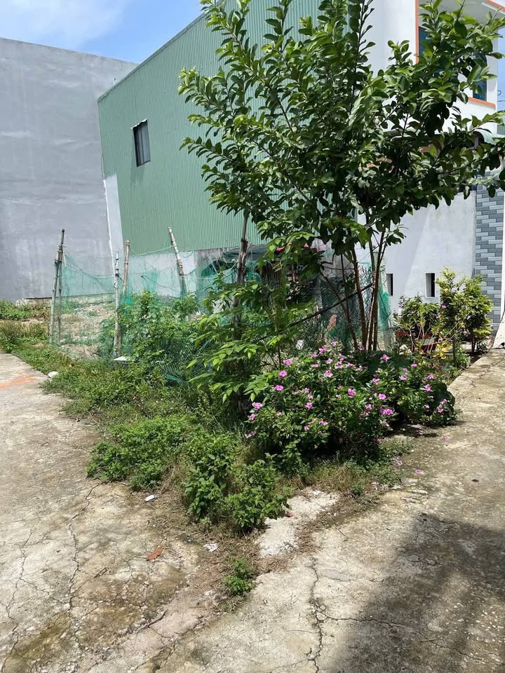 Đất nền lô góc tại thị trấn Tuy Phước 50.2m² giá 6xx triệu - Cơ hội đầu tư hấp dẫn!