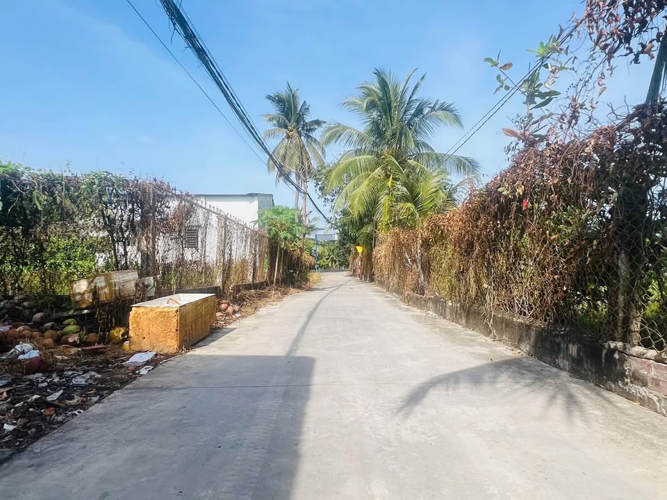 Đất nền Mỹ Hưng, Mỹ Phong 100m² giá 1.25 tỷ - Đường bê tông rộng rãi, thuận tiện giao thông!