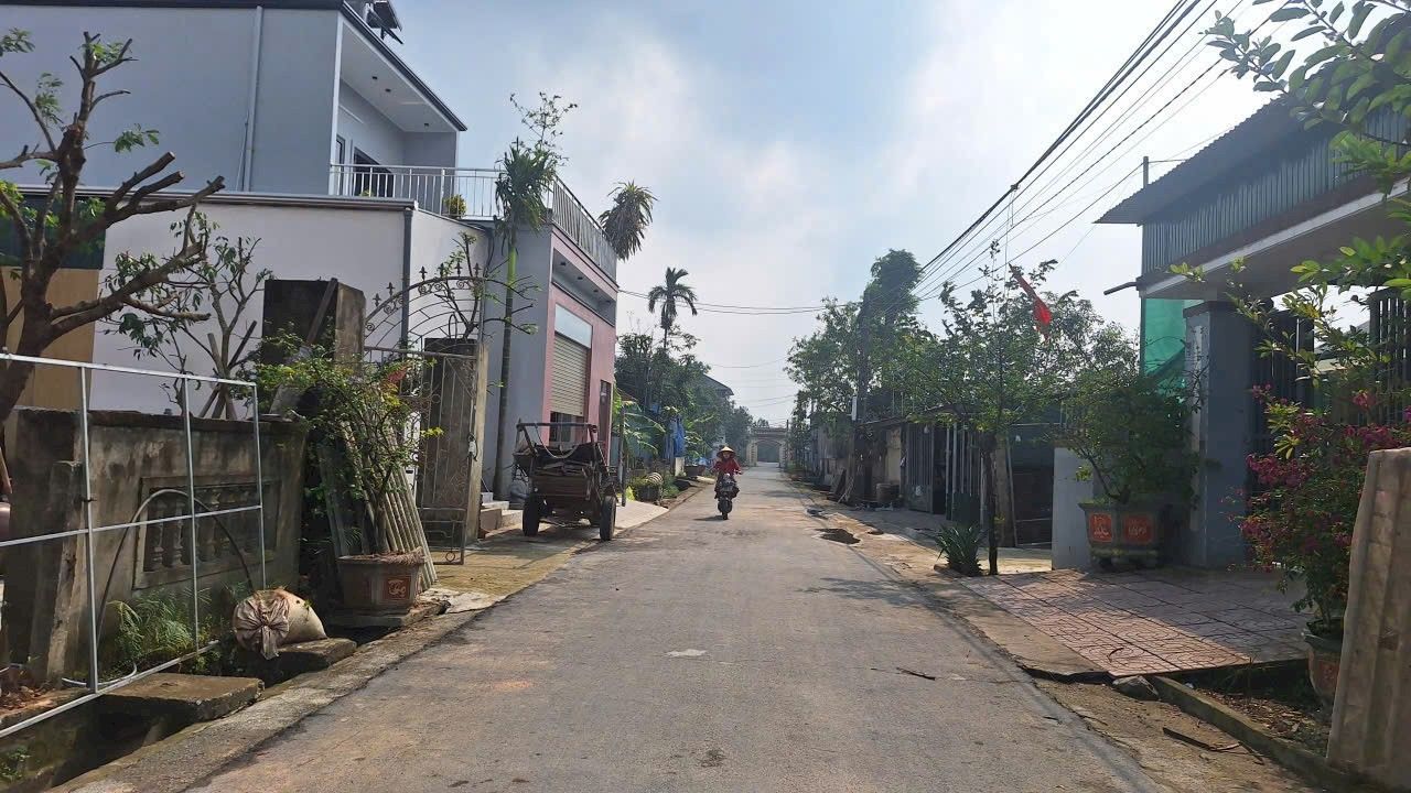 Đất nền xóm Văn Minh, xã Tân Lâm Hương 115m² giá 1.4 tỷ - Đường nhựa rộng 6m thuận lợi!