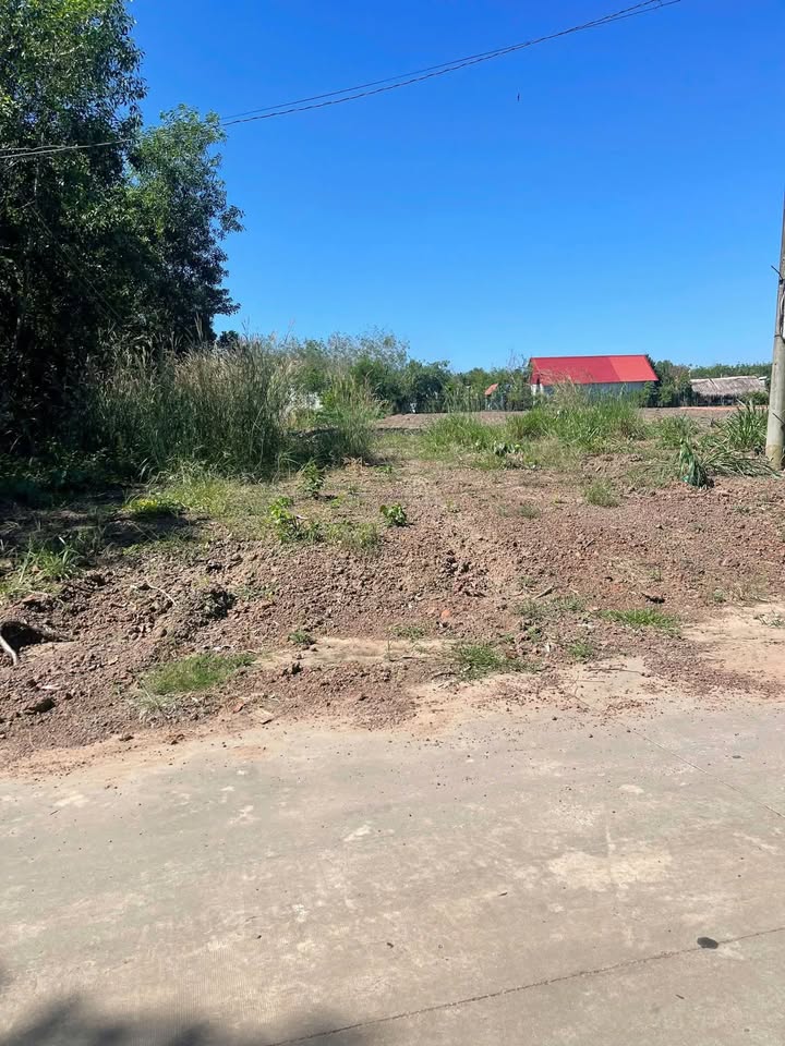 Đất nền ấp 6 An Linh, Phú Giáo 200m² giá 550 triệu - Đầu tư sinh lời ngay!