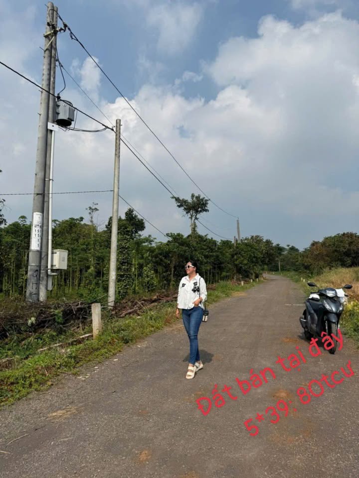 Đất nền Bình Giã - Châu Đức 195m² giá 400 triệu - Cơ hội đầu tư hấp dẫn!