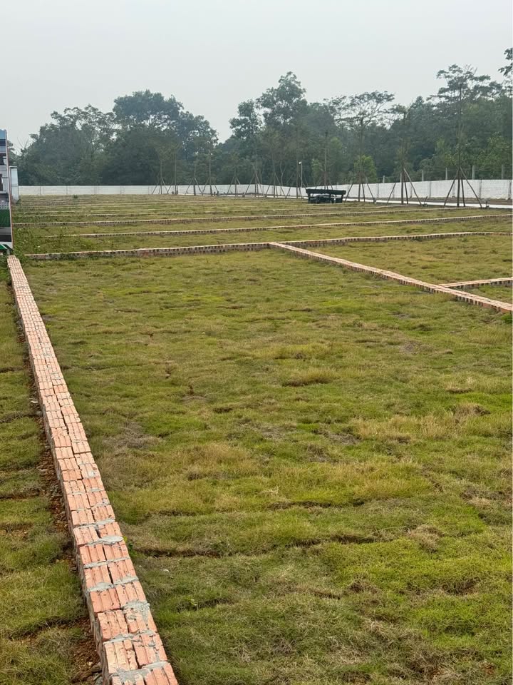 Đất thổ cư 100m² tại Phú Cát, Quốc Oai chỉ 2 tỷ - Cơ hội vàng đầu tư!