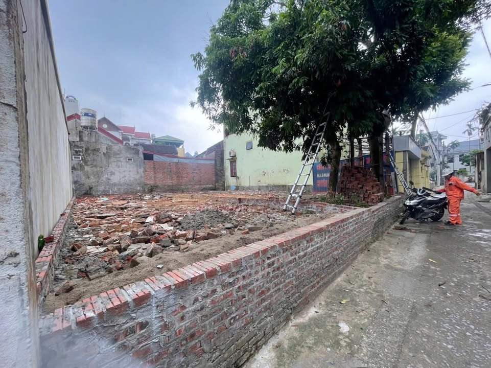 Đất nền Cổ Loa - Đông Anh 81m² giá 8.1 tỷ - Đầu tư tiềm năng ngay hôm nay!