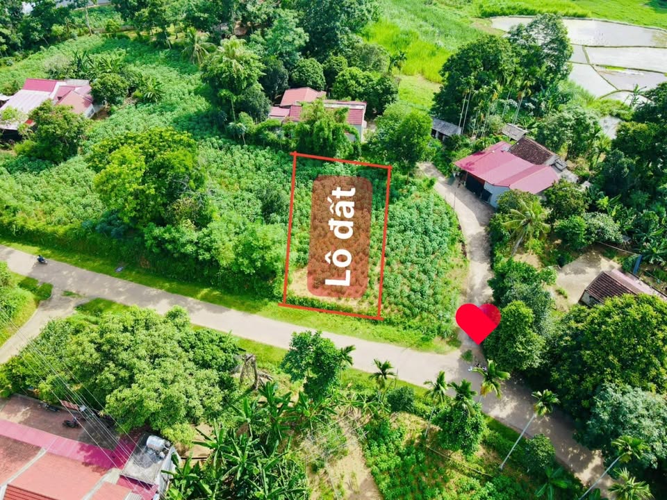 Đất nền Cẩm Tân, Cẩm Thủy 329m² - Giá thỏa thuận, vị trí đắc địa!