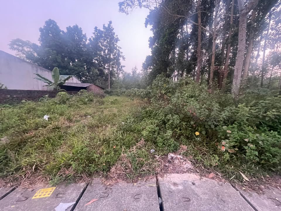 Đất nền Phú Thọ 106m² giá thỏa thuận - Đối diện hồ câu Đức Khang!