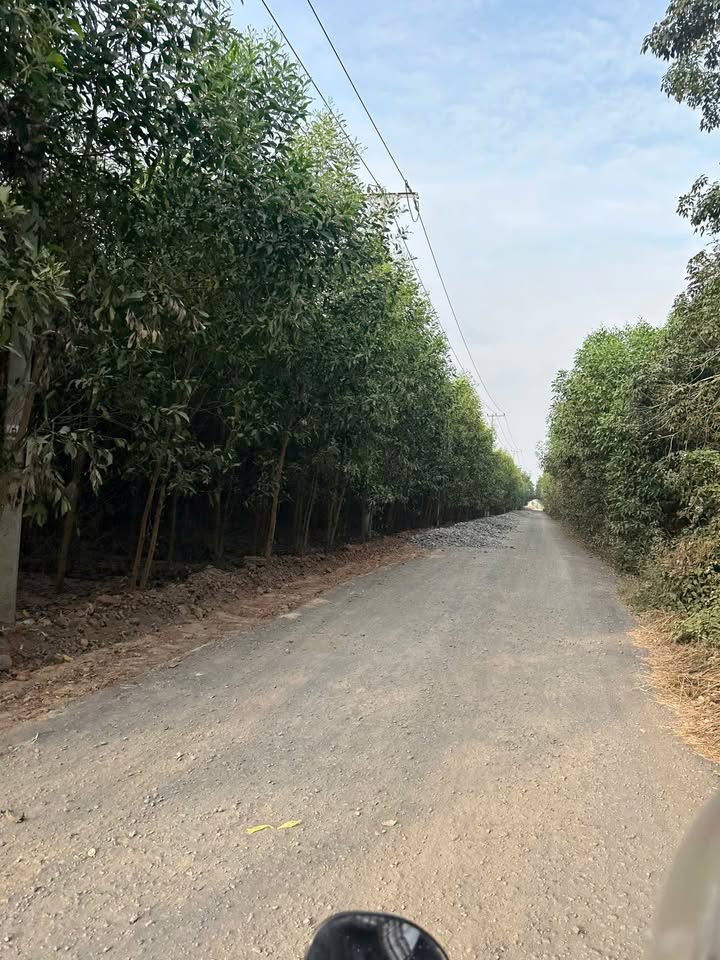 Đất nền Bưng Riềng - Xuyên Mộc 1000m² giá 800 triệu - Đầu tư sinh lời lý tưởng!