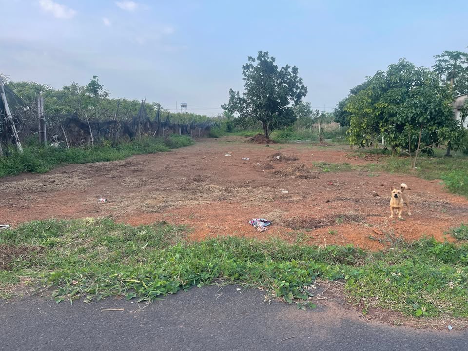 Đất nền Xuyên Mộc 3600m² giá 1.68 tỷ - Sổ hồng chính chủ, gần đường lớn!