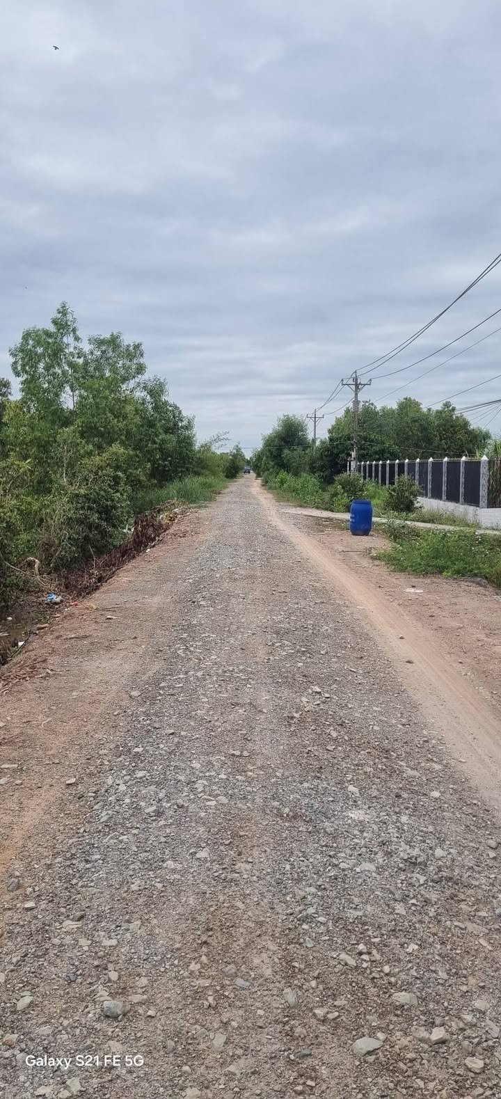 Đất trồng khóm tơ 15.400m² tại Thạnh Mỹ, Tân Phước giá 4 tỷ - Cơ hội đầu tư hấp dẫn!