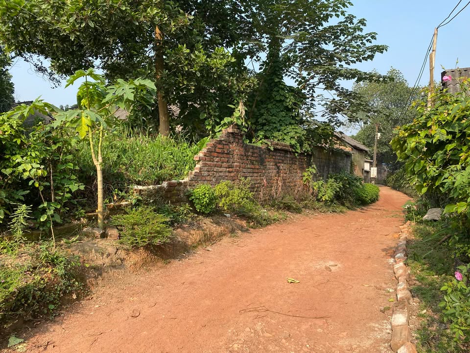 Đất thổ cư Sơn Cẩm 140m² giá 700 triệu - Mặt tiền 8.6m, gần chợ và trường học!